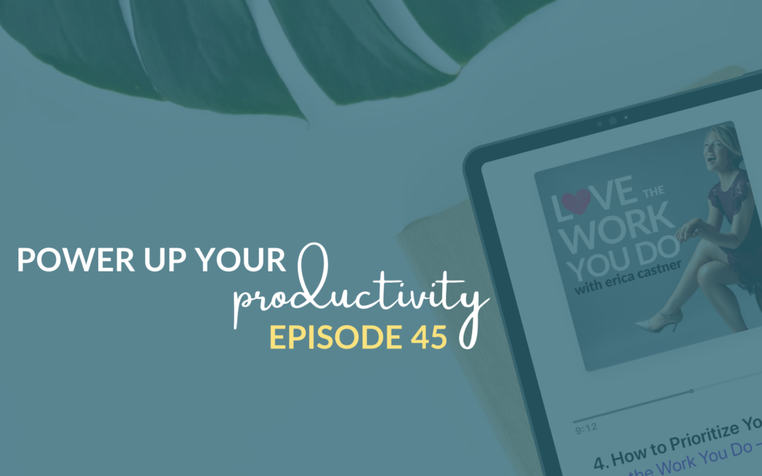 Power Up Your Productivity – Love the Work You Do – Episode 45